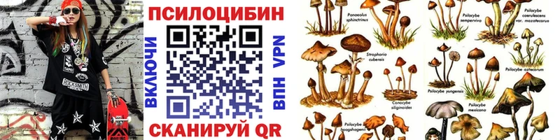 закладки  Обоянь  Галлюциногенные грибы мицелий 